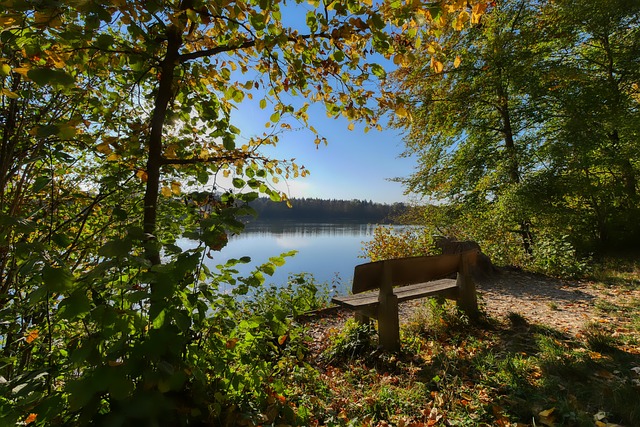 员的体能 员的体能