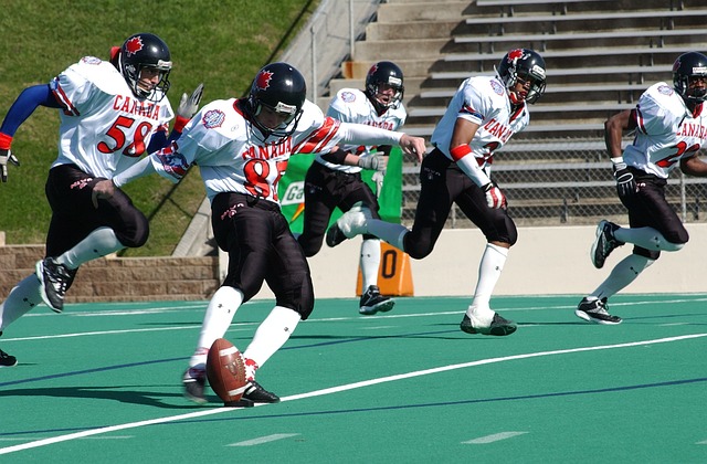 的潜在市场 的潜在市场