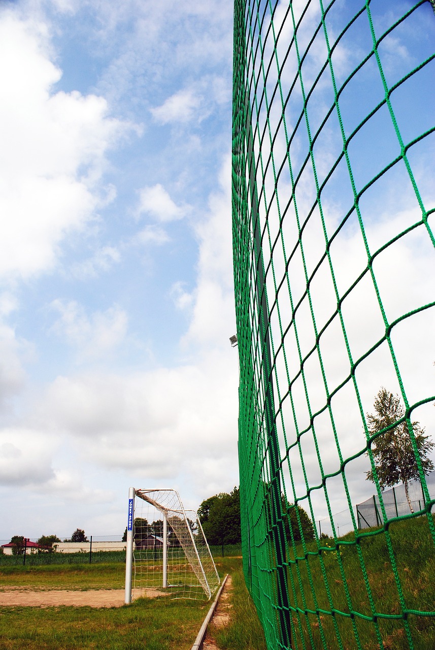 能力的提升 能力的提升