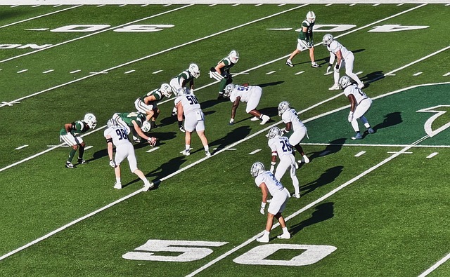 员展现出了 员展现出了