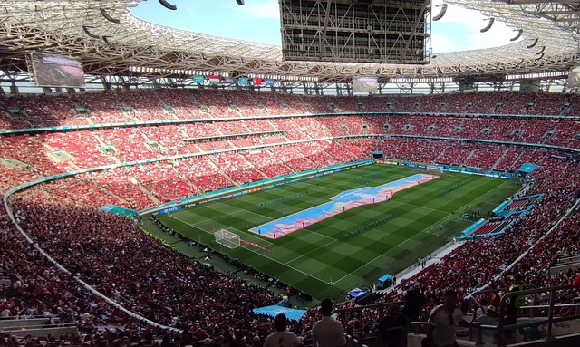 的完美融合 的完美融合