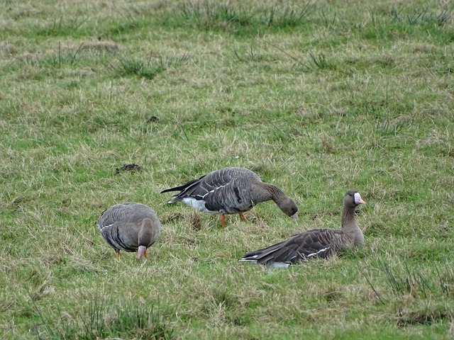 人们的广泛 人们的广泛